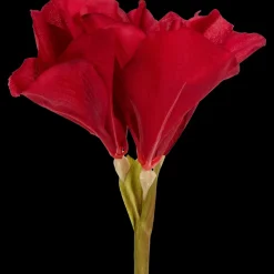 Amaryllis artificielle sur tige | Action FR New