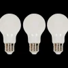 LSC Smart Connect Ampoules LED connectées 8 watt 700 lm | Action FR Best