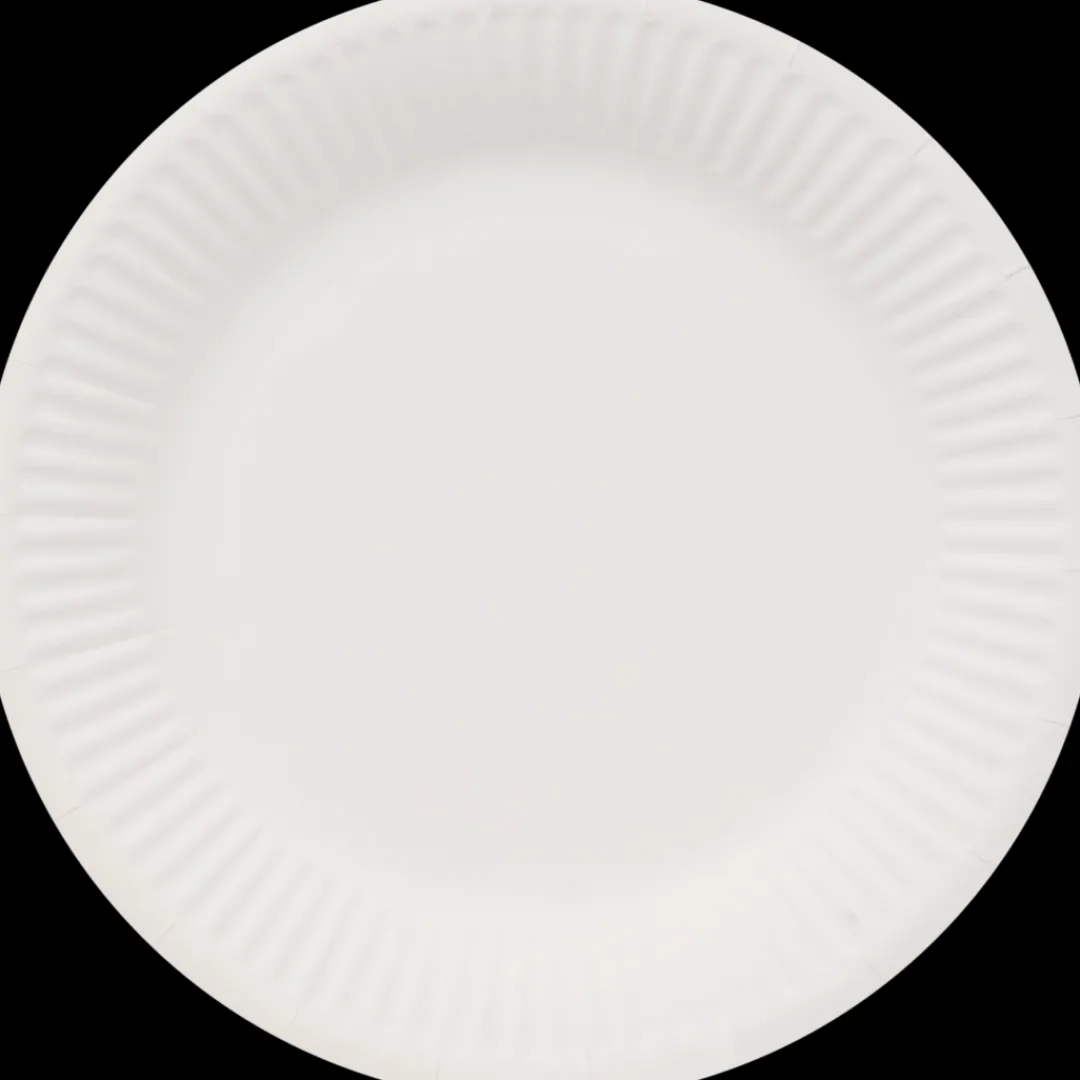 Assiettes en carton | Action FR Outlet