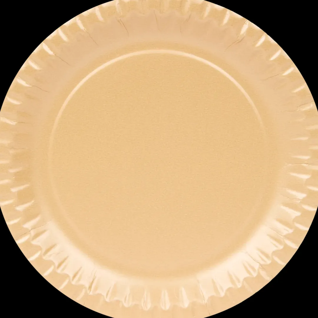 Assiettes en carton | Action FR Best