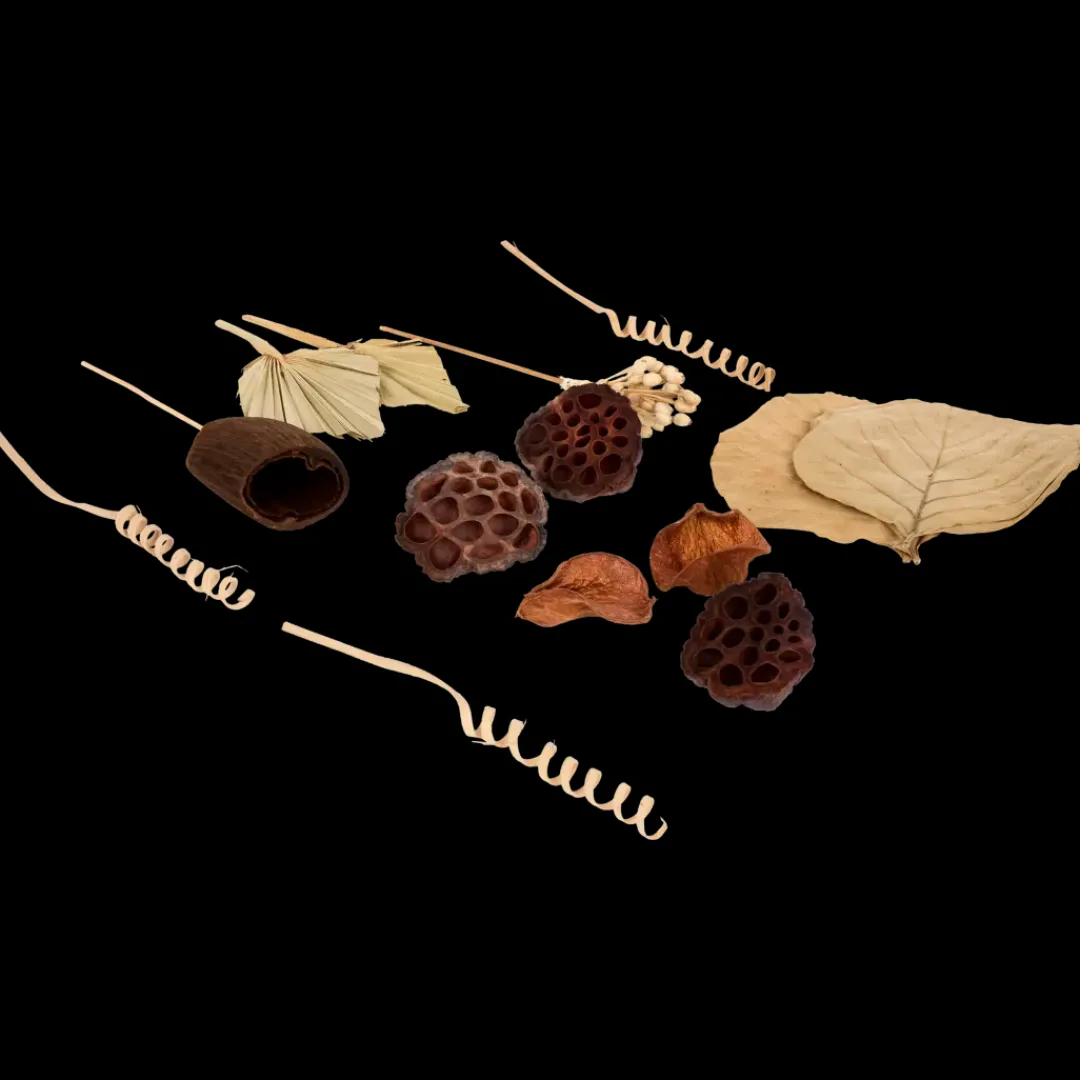 Assortiment de décorations d'automne | Action FR Online