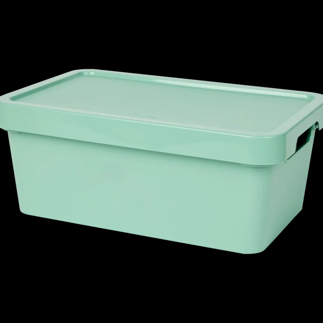 Boîte de rangement Tontarelli Maya 4.2 litre | Action FR Outlet