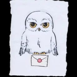 Harry Potter Carnet de notes A5 | Action FR Outlet