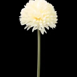 Chrysanthème boule sur tige The Hamptons Collections HOME | Action FR Hot