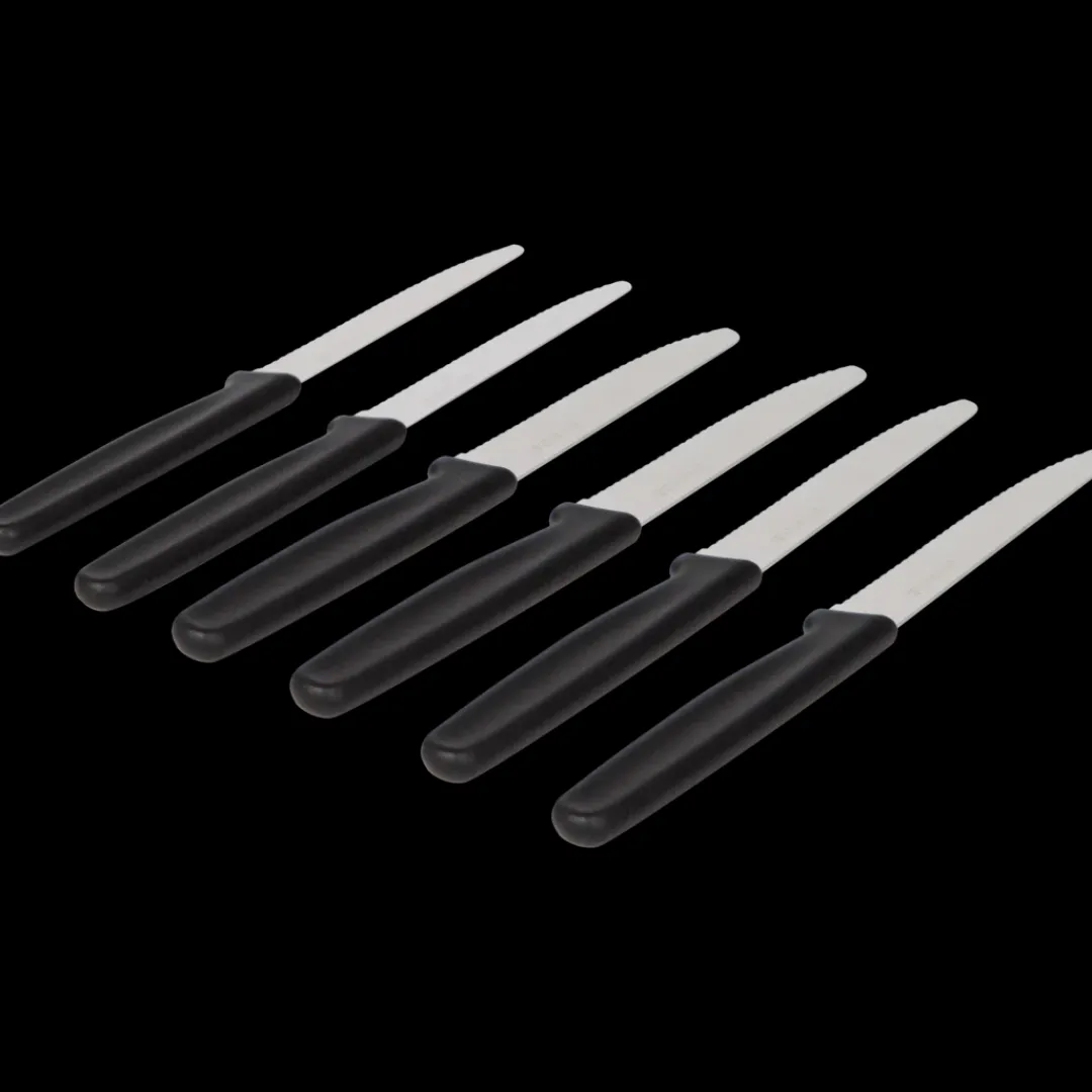 Couteaux de cuisine Lowenthal 6 Pièces | Action FR Best