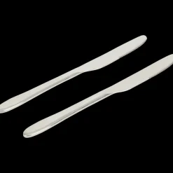 Couteaux Silver 2 Pièces | Action FR Discount