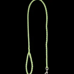 Laisse pour chien | Action FR Sale