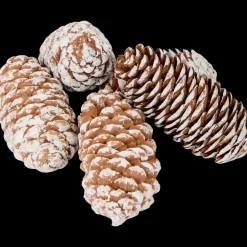 Mélange décoratif | Action FR Outlet