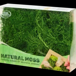 Mousse décorative | Action FR Sale