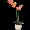 Orchidée artificielle en pot The Hamptons Collections HOME | Action FR Best