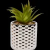 Plante grasse artificielle en pot | Action FR Discount
