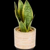 Sansevieria artificielle en pot The Hamptons Collections HOME | Action FR Clearance
